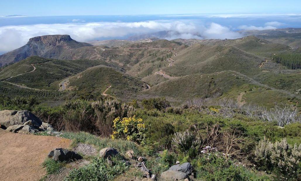 Bonita Casa Nieves By Paramount Holidays アラヘロ エクステリア 写真